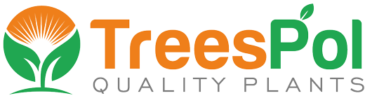 fruit ornamental trees shrubs production in Poland