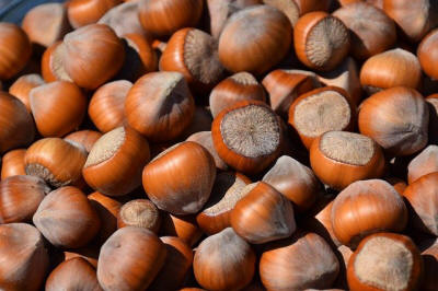 fruit ornamental trees shrubs production in Poland