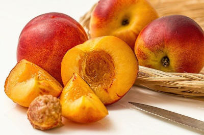 fruit ornamental trees shrubs production in Poland