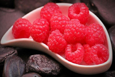 fruit ornamental trees shrubs production in Poland